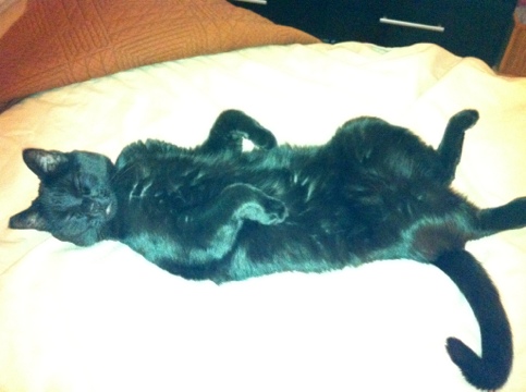 20120104-211613.jpg